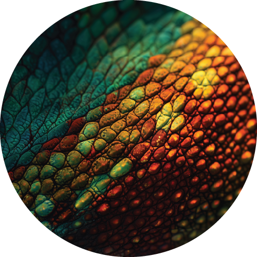 Animal Texture Bundle