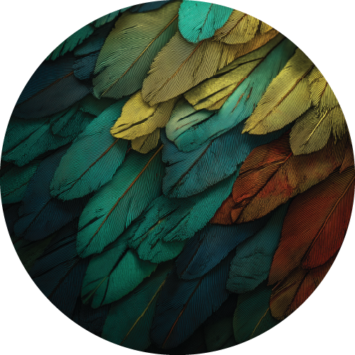 Animal Texture Bundle