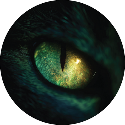 Animal Eyes Bundle