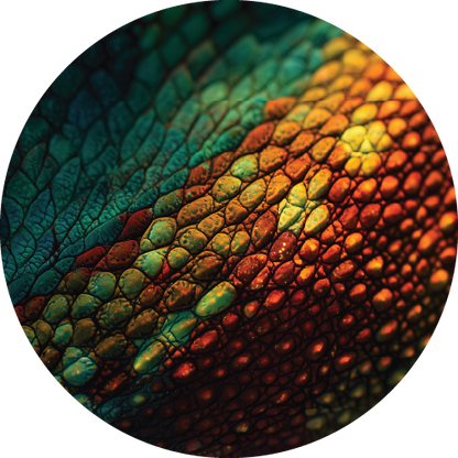 Animal Texture Bundle