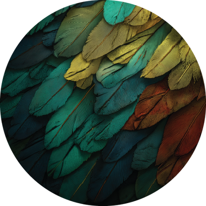 Animal Texture Bundle
