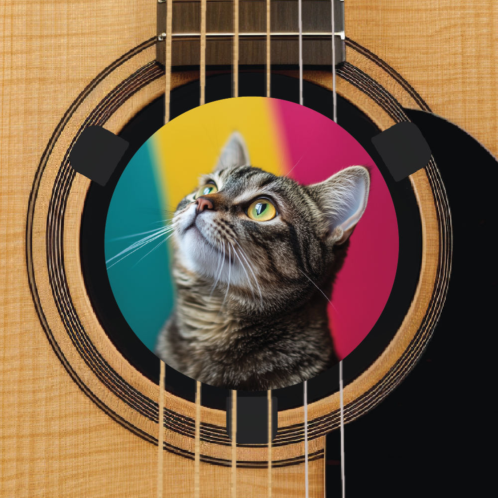 Custom acoustic guitar accessory feedback buster - upload your own photo - cat